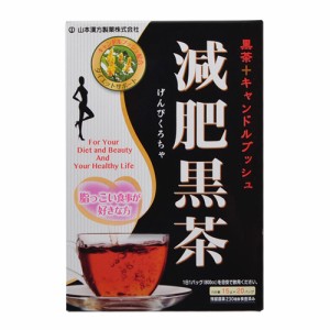山本漢方製薬 減肥黒茶 15g x 20包
