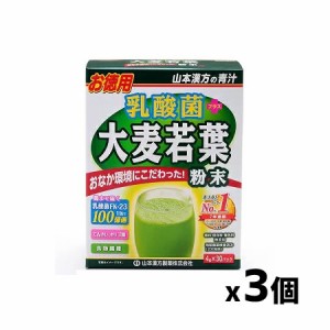 山本漢方製薬 乳酸菌大麦若葉粉末 4g×30包 x3個セット