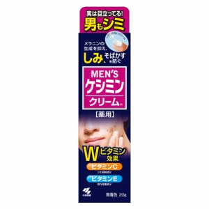 【ゆうパケット配送対象】小林製薬 メンズケシミンクリーム 男のシミ対策 20g 【医薬部外品】(メール便)