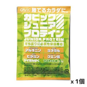 【ゆうパケット配送対象】GAVIC ガビック ジュニアプロテイン 12.5g x1個 マスカット味 ソイプロテイン 子供 成長期 GC4001(ポスト投函