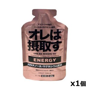 ダイトー水産 オレは摂取す 補給ジェル エネルギー 45g x1個 ピーチ味 パラチノース・マグネシウム配合 スポーツ飲料 ゼリー飲料 エネ・