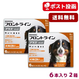 【A】【ポスト投函送料無料】フロントライン プラス 犬用 XL 40-60kg用 6本入 2箱セット【動物用医薬品】