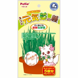 【C】ペティオ ネコの元気草の種 15g×5袋入