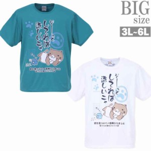 NECOBUCHI-SAN Tシャツ 大きいサイズ メンズ プリントT DRY かわいい メッシュ 半袖 C050626-05