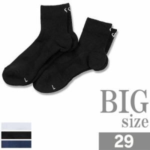 大きいサイズ 靴下 ソックス アクアチタン スポーツソックス パイル地 メッシュ編み C300712-03