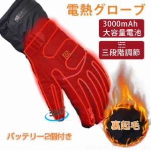 電熱インナーグローブ ホットグローブヒーター手袋 3段温度調整可 加熱手袋発熱手袋 電熱グローブ タッチパネル対応 裏起毛 防水 防風 防