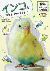 [書籍のメール便同梱は2冊まで]/[書籍]/インコがおうちにやってきた! (学研の図鑑LIVE)/海老沢和荘/監修/NEOBK-2715829