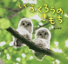 [書籍のゆうメール同梱は2冊まで]/[書籍]/えぞふくろうのきもち/横田雅博/著/NEOBK-1944217