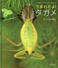 [書籍のゆうメール同梱は2冊まで]/[書籍]/うまれたよ!タガメ (よみきかせいきものしゃしんえほん)/松沢陽士/写真・文/NEOBK-1942912