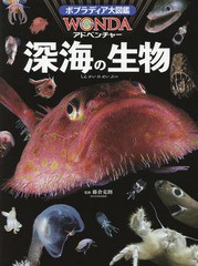 [書籍]/深海の生物 (ポプラディア大図鑑WONDAアドベンチャー)/藤倉克則/監修/NEOBK-1966182