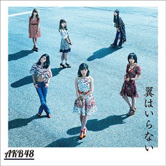 [CD]/AKB48/翼はいらない [Type C/CD+DVD/通常盤] ※イベント参加券無し/KIZM-433