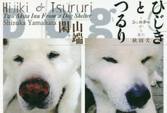 [書籍のゆうメール同梱は2冊まで]/[書籍]/ひじきとつるり シェルターから来た秋田犬/山端閑/写真・文/NEOBK-1992861