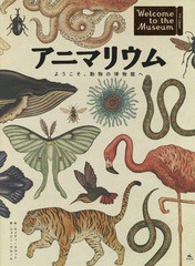 [書籍]/アニマリウム ようこそ、動物の博物館へ / 原タイトル:Animalium/ジェニー・ブルーム/著 ケイティ・スコット/絵/NEOBK-1986926