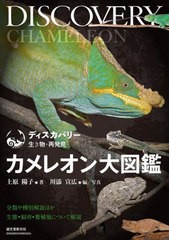 送料無料有/[書籍]/カメレオン大図鑑 分類や種別解説ほか生態・飼育・繁殖について解説 (ディスカバリー生き物・再発見)/上原陽子/著 川