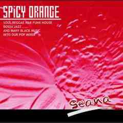 [CDA]/SPiCY ORANGE/Seana/DAKGGR-1002