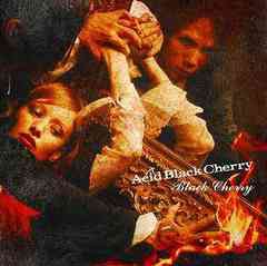 [CDA]/Acid Black Cherry/Black Cherry [通常盤]/AVCD-32090