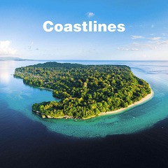 送料無料有/[CD]/Coastlines/Coastlines/DQC-1630