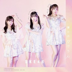 [CD]/SKE48/愛のホログラム [CD+DVD/通常盤/TYPE-B]/AVCD-61415