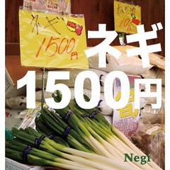 [CD]/Negi/ネギ1500円/TECD-1016