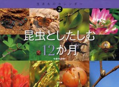 [書籍のメール便同梱は2冊まで]/[書籍]/昆虫としたしむ12か月 (生きものカレンダー)/今森光彦/著 すがわらけいこ/絵/NEOBK-975549