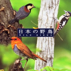 [CD]/＜COLEZO!＞自然音 日本の野鳥/BGM/VICG-41163