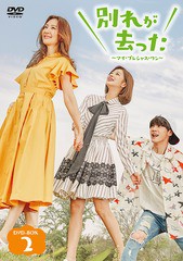 送料無料/[DVD]/別れが去った DVD-BOX 2/TVドラマ/BBBF-9052