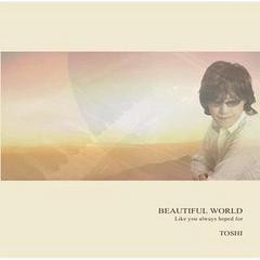 送料無料有/[CDA]/TOSHI/BEAUTIFUL WORLD/HWTS-3