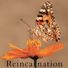 [CD]/NEVERLAND/Reincarnation [TYPE C]/PCM-238C
