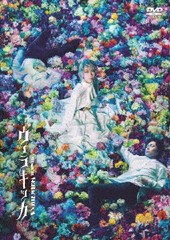 送料無料有/[DVD]/ミュージカル『ヴェラキッカ』/ミュージカル/PCBP-54456