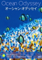 送料無料有/[DVD]/オーシャン・オデッセイ/洋画/BWD-1980