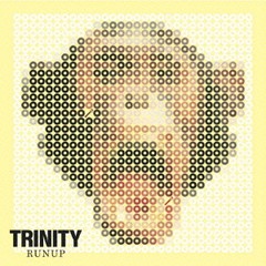 [CDA]/TRINITY/RUNUP/GSRCD-2