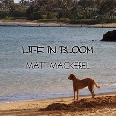 [CDA]/MATT MACKEREL/LIFE IN BLOOM/YYCF-125