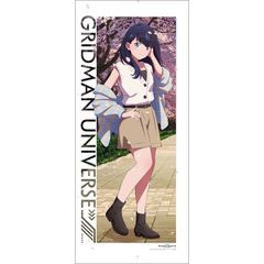 [グッズ]/【2024年7月発売】グリッドマン ユニバース 描き下ろし 特大タペストリー (六花 / 夜桜デート)/NEOGDS-756763