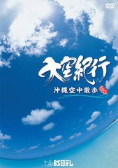 送料無料有/[DVD]/大空紀行 沖縄空中散歩/BGV/BNDB-12