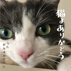 [CD]/ポカスカジャン/猫よありがとう/WAHAHA-24