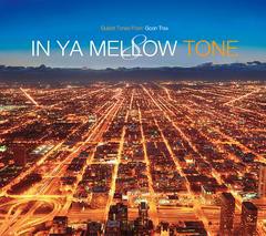 送料無料有/[CDA]/オムニバス/IN YA MELLOW TONE 8/GTXC-80