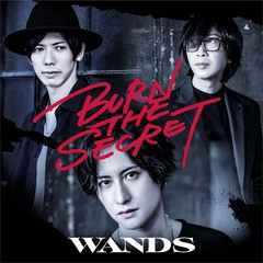 送料無料有/[CD]/WANDS/BURN THE SECRET [DVD付初回限定盤]/GZCD-5012