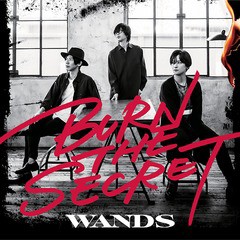 送料無料有/[CD]/WANDS/BURN THE SECRET [通常盤]/GZCD-5013