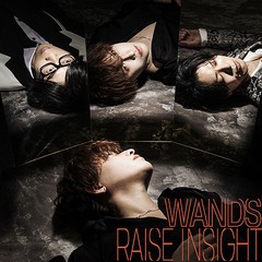 [CD]/WANDS/RAISE INSIGHT [CD+Blu-ray/通常盤]/GZCD-7014