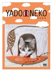 送料無料有/[DVD]/YADONEKO-やどネコ-/バラエティ/ZMBH-9998