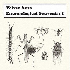 [CD]/Velvet Ants/Entomological Souvenirs I (昆虫記 その1)/CAR-54