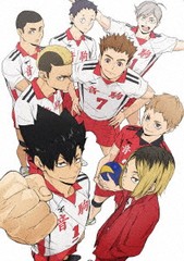 送料無料/[Blu-ray]/ハイキュー!! TO THE TOP Vol.5/アニメ/TBR-29330D