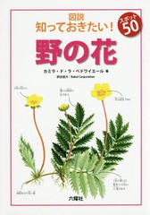 [書籍のゆうメール同梱は2冊まで]/[書籍]/図説知っておきたい!スポット50野の花 / 原タイトル:Wildflowers (Rikuyosha Children & YA Boo