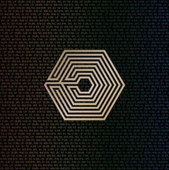 送料無料有/[DVD]/EXO/EXO FROM. EXOPLANET#1 - THE LOST PLANET IN JAPAN [初回受注限定生産]/AVBK-79258