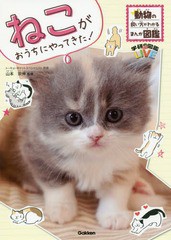 [書籍のメール便同梱は2冊まで]/[書籍]/ねこがおうちにやってきた! (学研の図鑑LIVE)/山本宗伸/監修/NEOBK-2131210