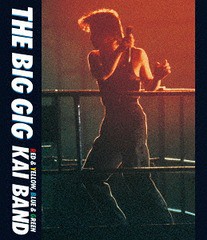 送料無料有/[Blu-ray]/甲斐バンド/THE BIG GIG/UPXY-6044