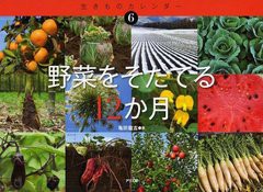 [書籍のメール便同梱は2冊まで]/[書籍]/野菜をそだてる12か月 (生きものカレンダー 6)/亀田龍吉 すがわらけいこ/NEOBK-1216756