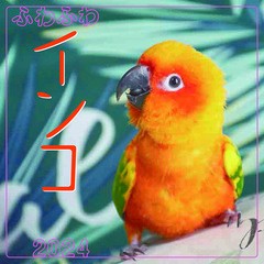 [グッズ]/【2023年9月発売】ふわふわインコ [2024年カレンダー]/カレンダー/2024CL-386