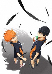 送料無料有/[DVD]/ハイキュー!! セカンドシーズン Vol.1 [DVD+CD]/アニメ/TDV-25461D