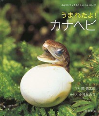 [書籍]/うまれたよ!カナヘビ (よみきかせいきものしゃしんえほん)/関慎太郎/写真 小杉みのり/構成・文/NEOBK-1600388